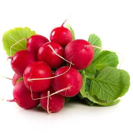 Редиска пучок